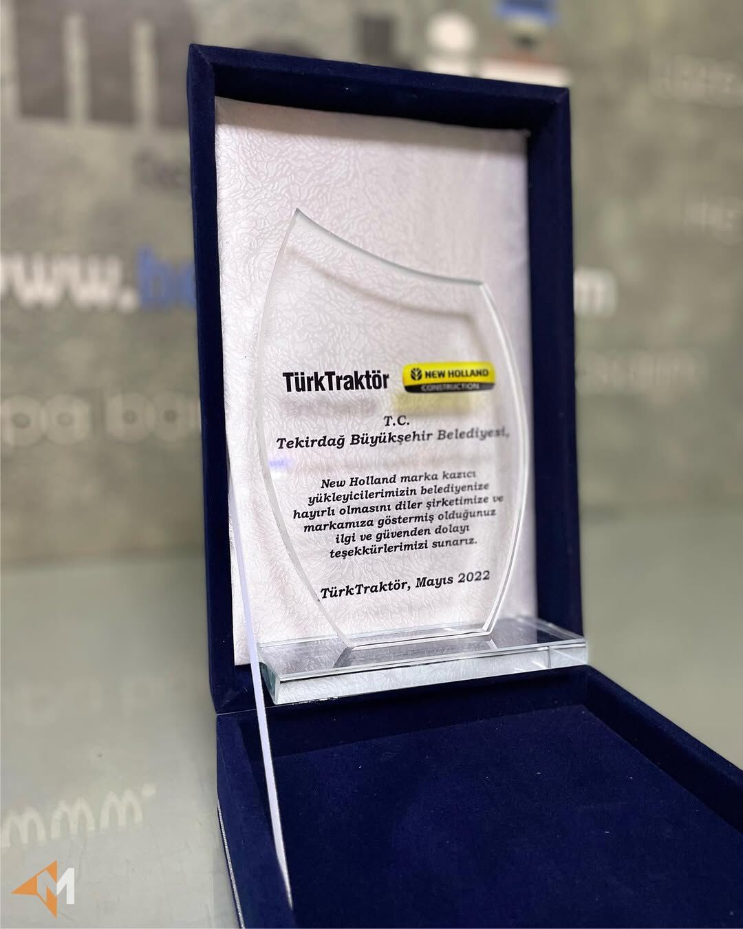 Oval Kesim Kristal Plaket